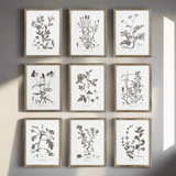 Rustic Botanical Sepia Wall Art Prints (Set of 9)-Artwork-Parc Decor