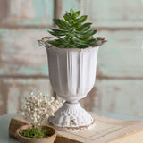 Shabby Chic Distressed Metal Cup Planters (Set of 4)-Outdoor Décor-Parc Decor
