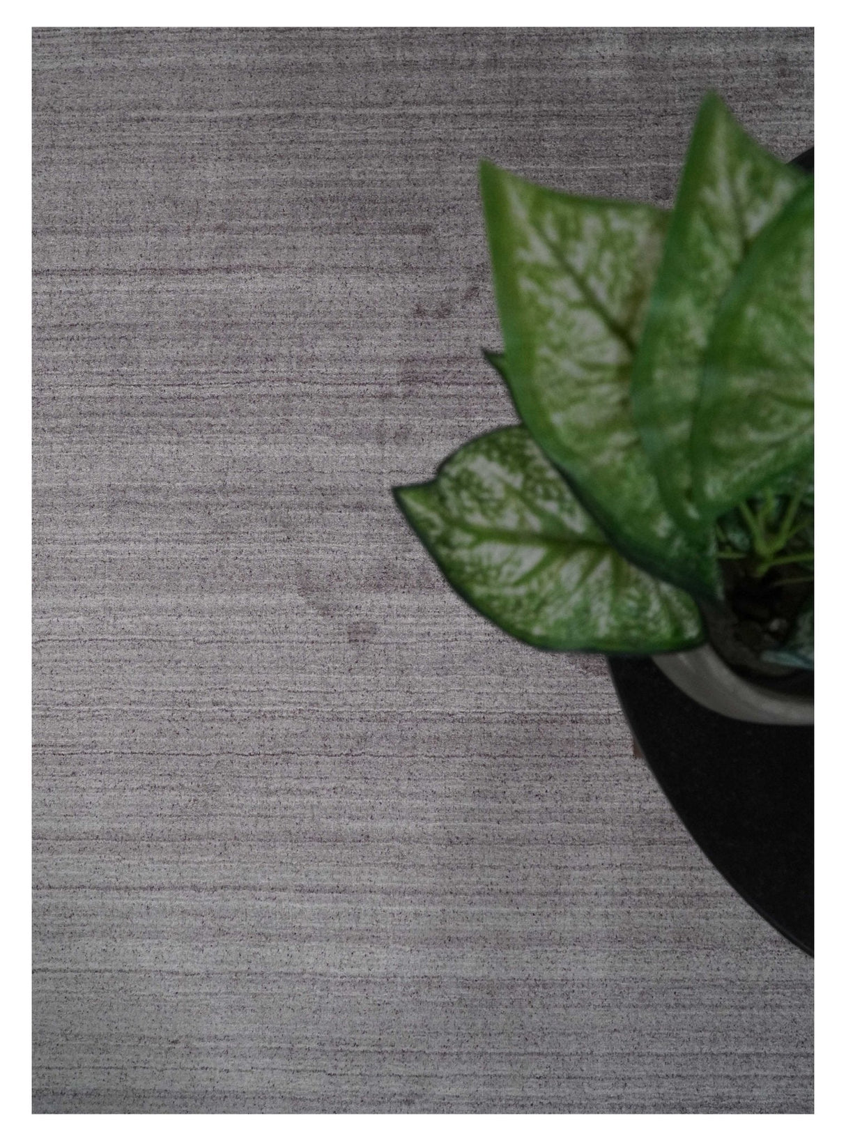 Shaded Solid Lavender purple 5x7 Blended bamboo Silk Hand Woven Area Rug