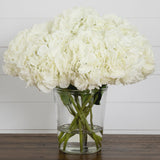 Signature Collection 18” Blooming Hydrangea Artificial Arrangement in Glass Vase-Arrangement-Parc Decor