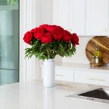 Signature Collection 20” Peony Artificial Arrangement in White Glass Vase-Arrangement-Parc Decor