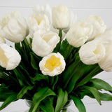 Signature Collection 24” Tulip Artificial Arrangement in Glass Vase-Arrangement-Parc Decor