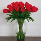 Signature Collection 24” Tulip Artificial Arrangement in Glass Vase-Arrangement-Parc Decor