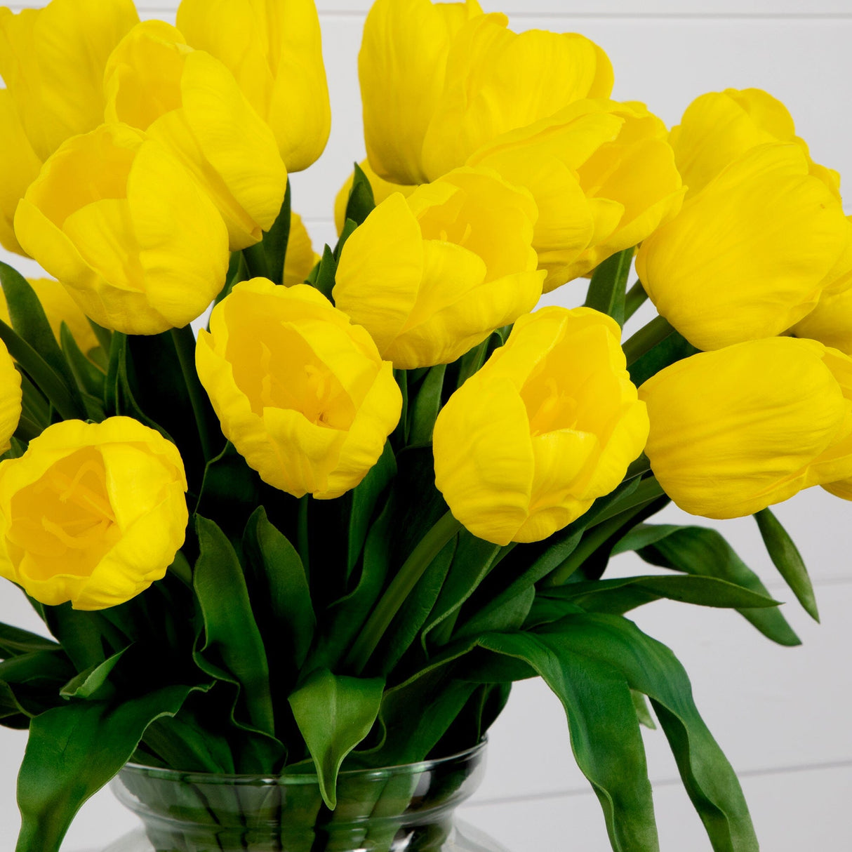 Signature Collection 24” Tulip Artificial Arrangement in Glass Vase-Arrangement-Parc Decor