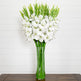 Signature Collection 44” Gladiola Artificial Arrangement in Glass Vase-Arrangement-Parc Decor