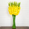 Signature Collection 44” Gladiola Artificial Arrangement in Glass Vase-Arrangement-Parc Decor