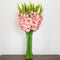 Signature Collection 44” Gladiola Artificial Arrangement in Glass Vase-Arrangement-Parc Decor