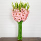 Signature Collection 44” Gladiola Artificial Arrangement in Glass Vase-Arrangement-Parc Decor