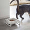 Single Pet Food Bowl - Steel + Ceramic-Pets-Parc Decor