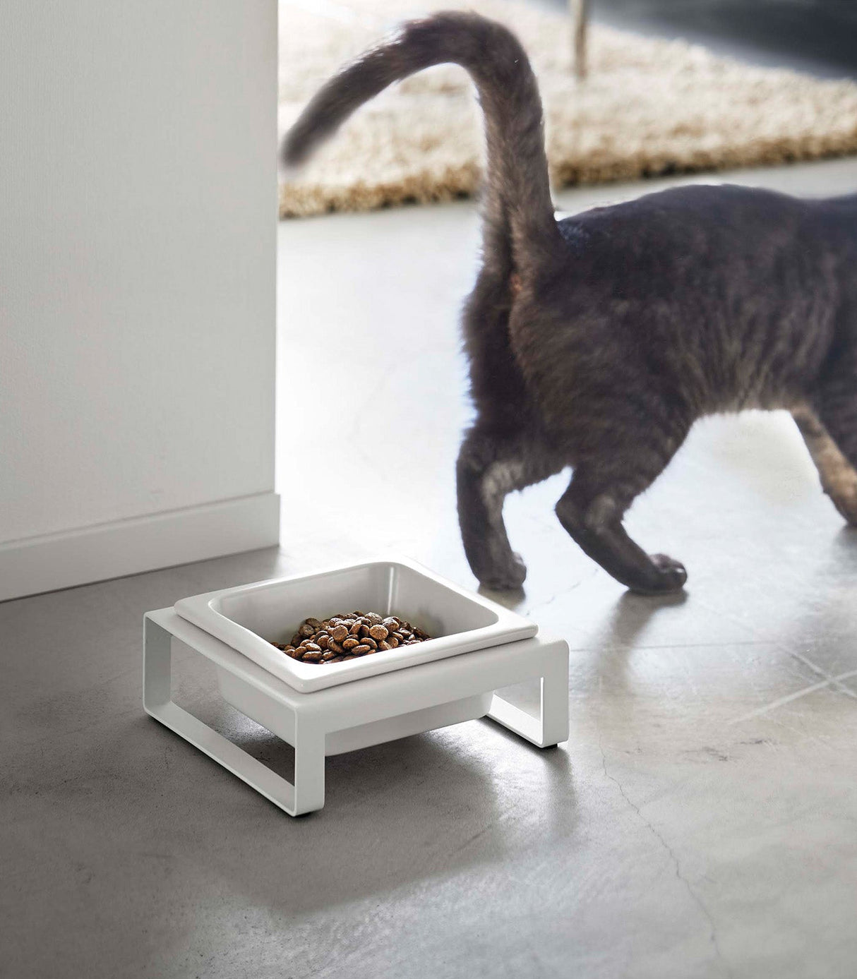 Single Pet Food Bowl - Steel + Ceramic-Pets-Parc Decor