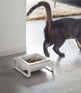 Single Pet Food Bowl - Steel + Ceramic-Pets-Parc Decor