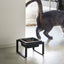 Single Pet Food Bowl - Tall - Steel + Ceramic