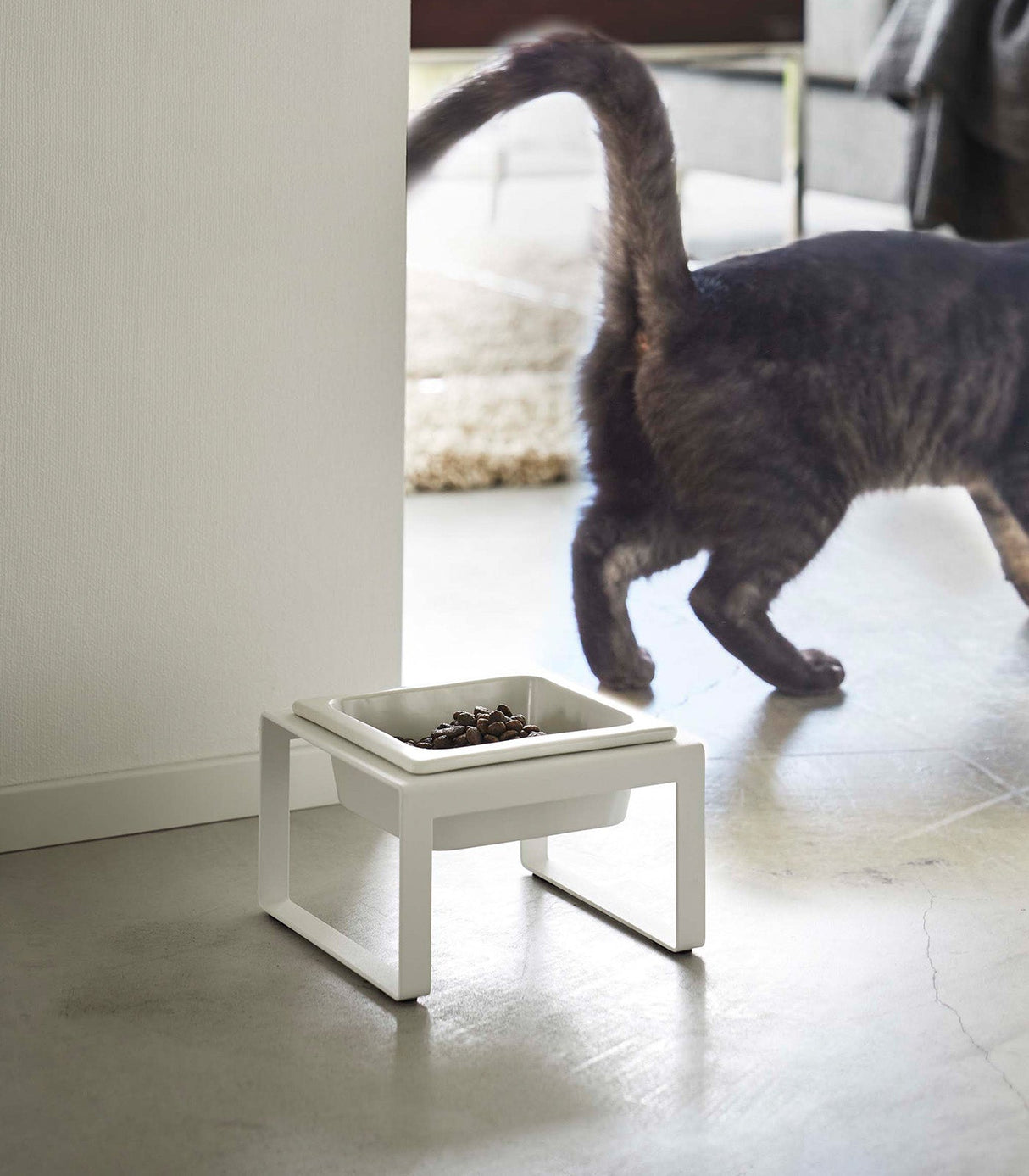 Single Pet Food Bowl - Tall - Steel + Ceramic-Pets-Parc Decor