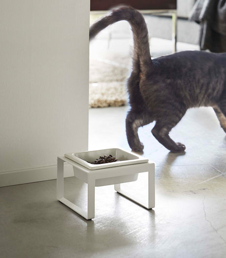 Single Pet Food Bowl - Tall - Steel + Ceramic-Pets-Parc Decor