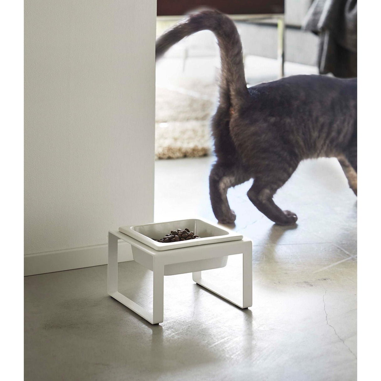 Single Pet Food Bowl - Tall - Steel + Ceramic