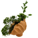 Sirene Shell Ceramic Vase