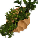 Sirene Shell Vase-Decorative vase-Parc Decor