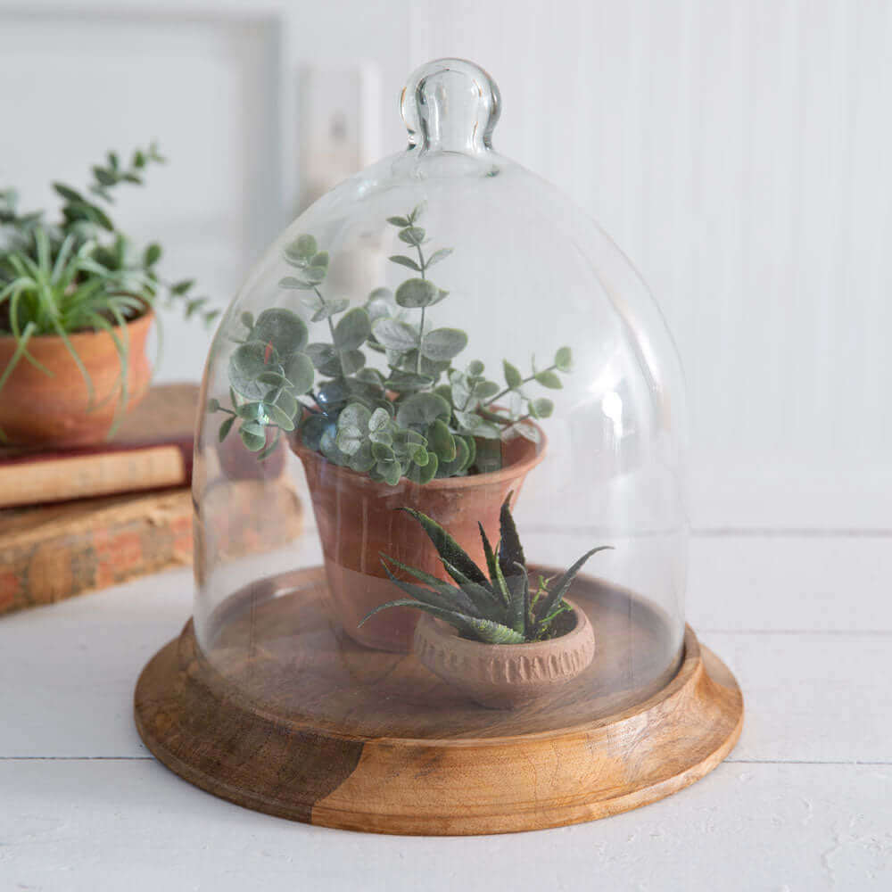 Small Glass Bell Shaped Cloche with Wooden Base-Kitchenware-Parc Decor