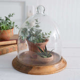Small Glass Bell Shaped Cloche with Wooden Base-Kitchenware-Parc Decor