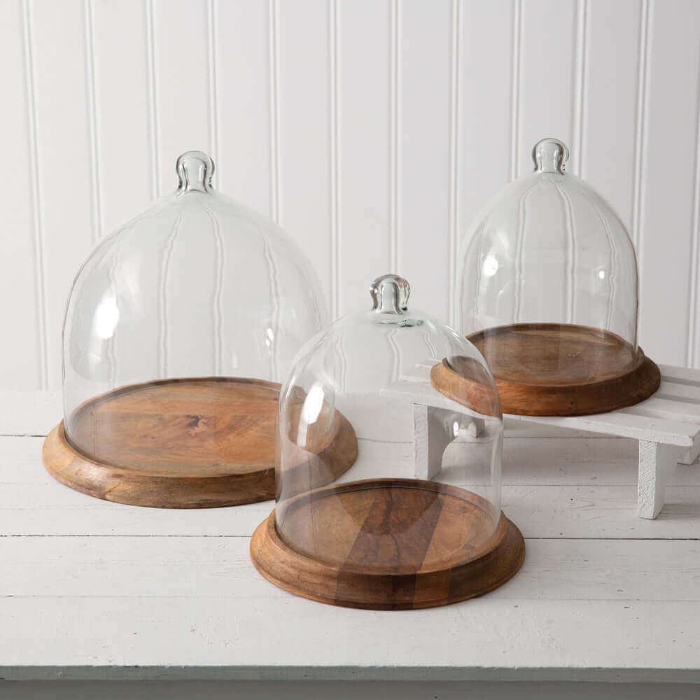 Small Glass Bell Shaped Cloche with Wooden Base-Kitchenware-Parc Decor