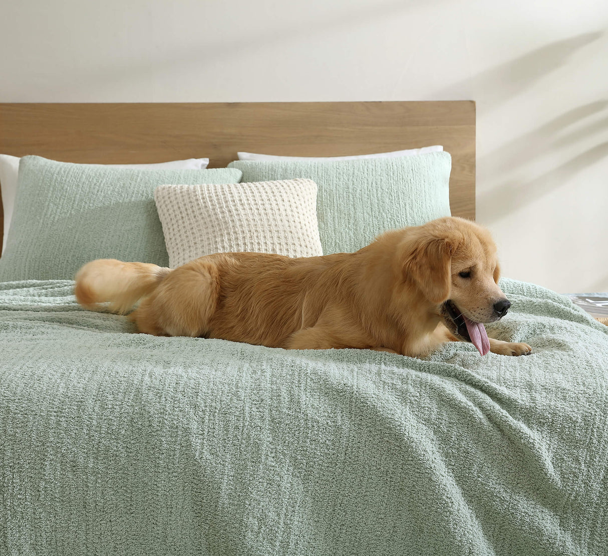 Snug + Bamboo Viscose Sham Set