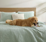 Snug + Bamboo Viscose Sham Set
