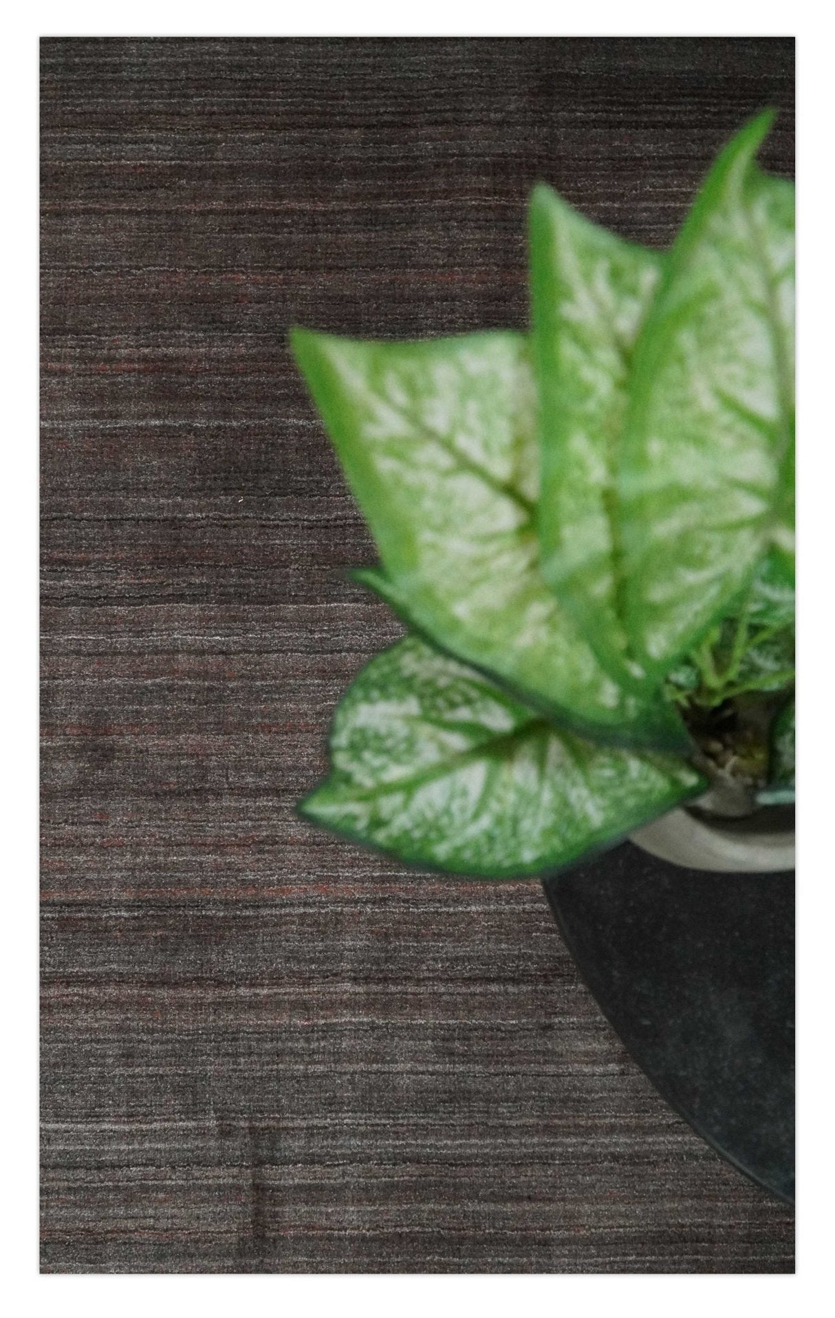 Solid Brown Scandinavian 5x7 Blended Wool Flatwoven Area Rug