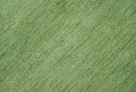 Solid Green Woolen Hand Tufted contemporary area Rug