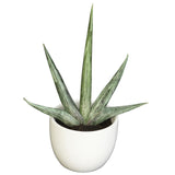 Southwest Artificial Succulent Collection - Set of 3-Plant in Planter-Parc Decor