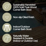 Tanzania Oiled Teak Shower and Bath Corner Stool with Shelf - 17.5"