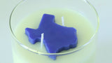 Texas Bluebonnet Container Candle-Candles-Parc Decor
