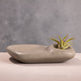 Tide Pool Platter-Home Decor-Parc Decor