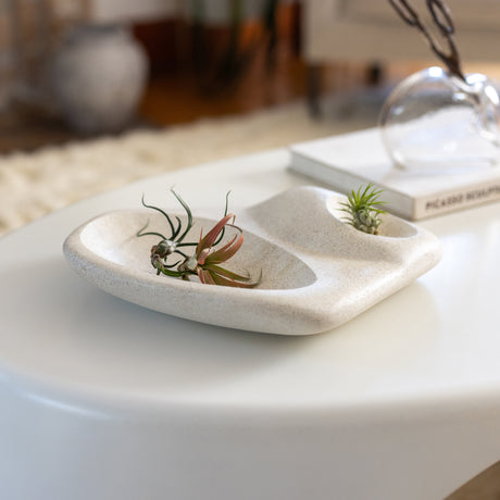 Tide Pool Platter-Home Decor-Parc Decor