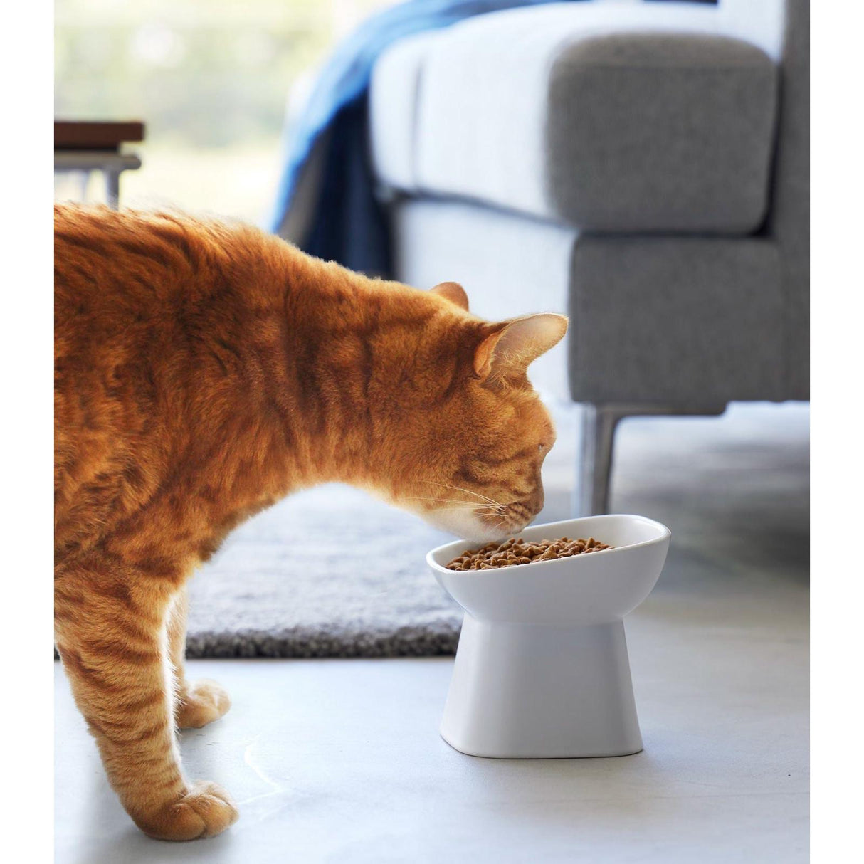 Tilted Pet Food Bowl