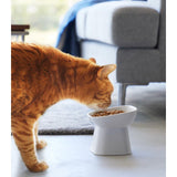 Tilted Pet Food Bowl