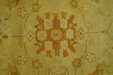 Traditional Design Antique beige and rust 8x10 Hand Knotted Wool Area Rug