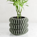 Triple Bubble Orchid Planter