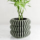 Triple Bubble Orchid Planter-Planter-Parc Decor