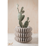 Triple Bubble Orchid Planter