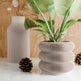 Triple BUBBLES Planter-Planter-Parc Decor