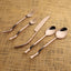Twig PVD 5 Pc. Flatware Set