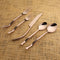 Twig PVD 5 Pc. Flatware Set-flatware set-Parc Decor