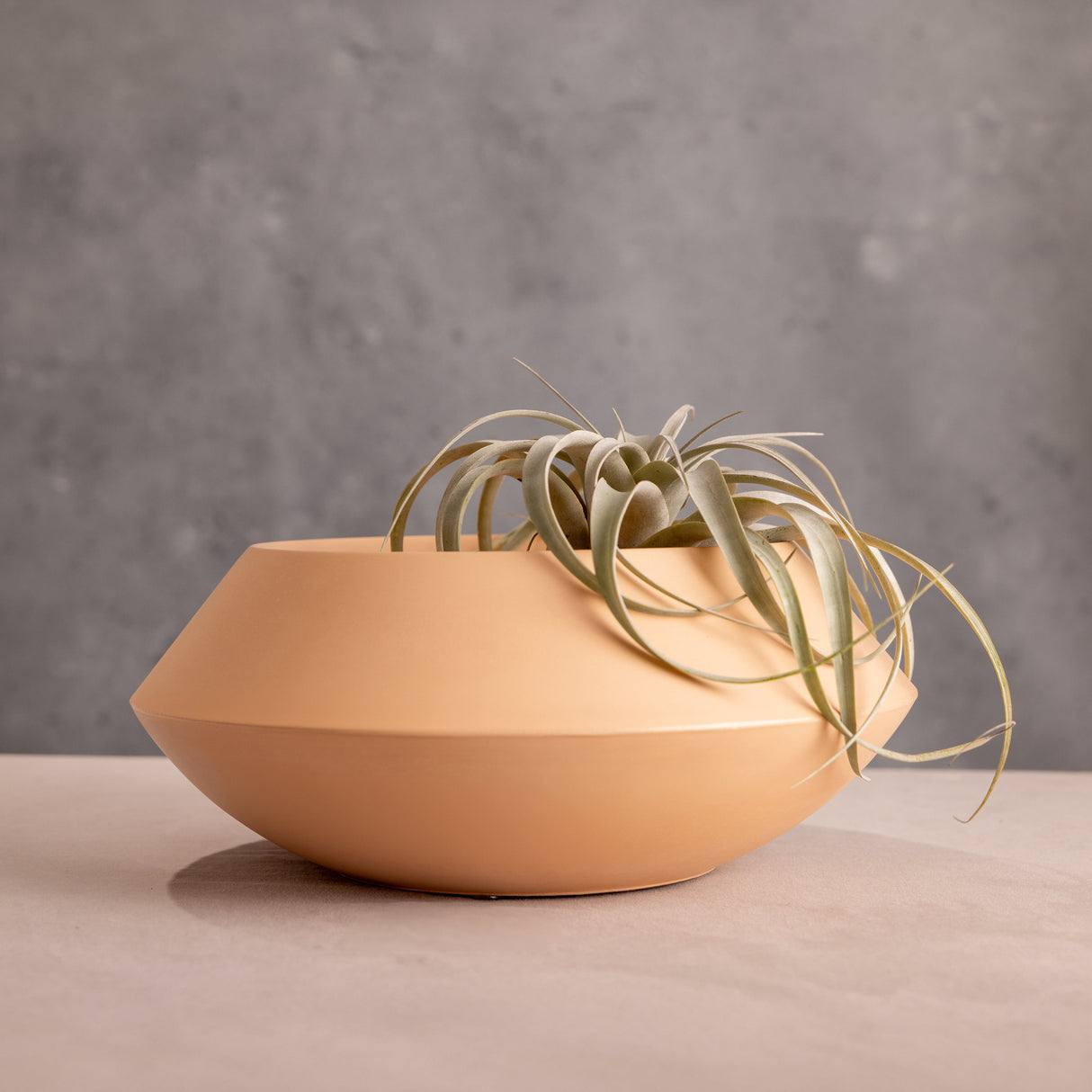 Utopia Bowl-Home Decor-Parc Decor