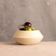 Utopia Bowl-Home Decor-Parc Decor