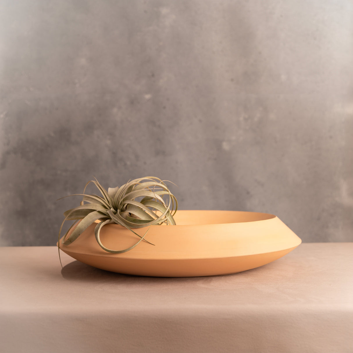 Utopia Platter-Home Decor-Parc Decor