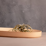 Valley Oval Platter-Home Decor-Parc Decor