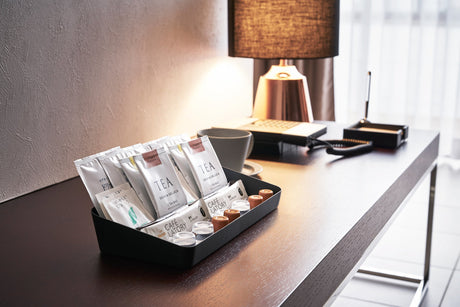 Vanity Tray - Angled - Large - Steel