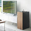 Video Game Storage Cabinet - Steel