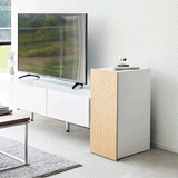 Video Game Storage Cabinet – Steel-Video Games-Parc Decor