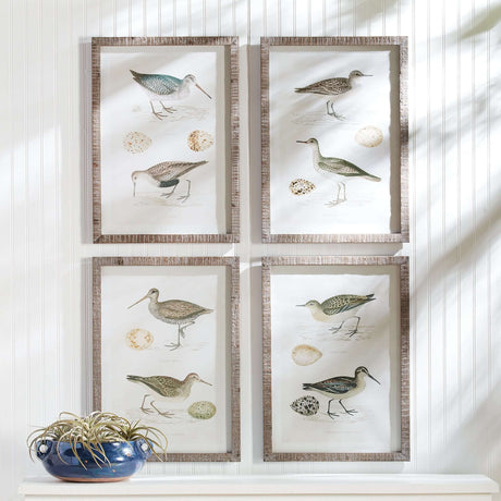 Vintage Coastal Bird Prints Wall Art (Set of 4)-Artwork-Parc Decor